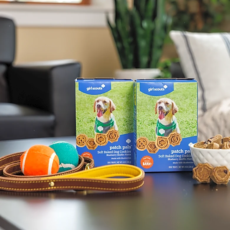 Girl Scouts' first cookies for dogs will go on sale in January