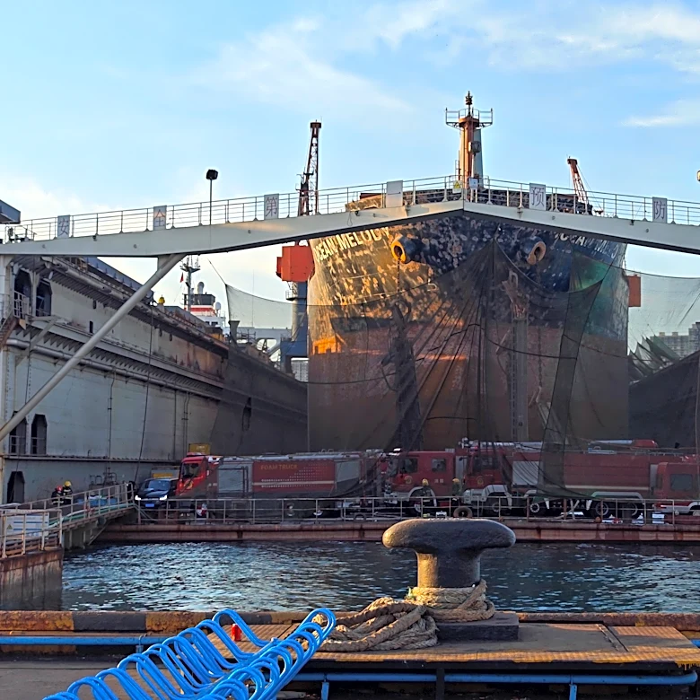 25 dead after cargo ship catches fire in China's port, state media says