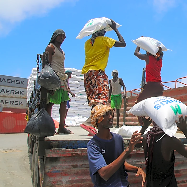 Somalis rethink trade routes as Houthis disrupt established shipping channels