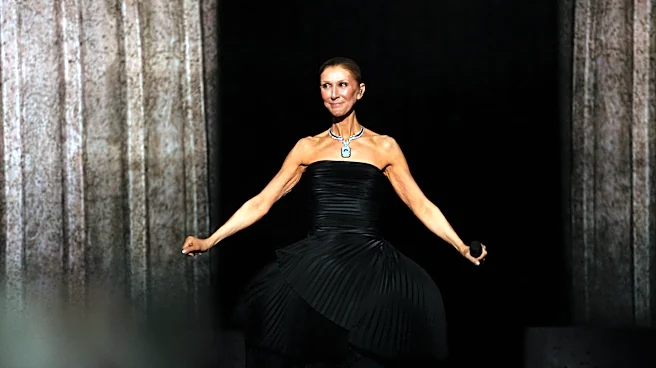 Celine Dion completes her first full concert in 6 years after overcoming rare illness