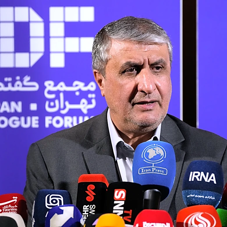 Iran's nuclear chief not expected to attend IAEA General Conference, official says