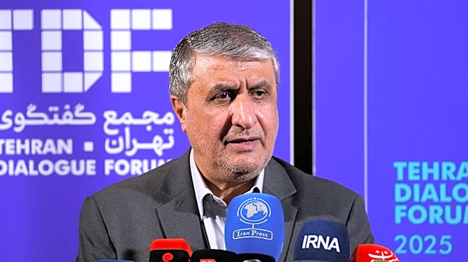 Iran's nuclear chief not expected to attend IAEA General Conference, official says