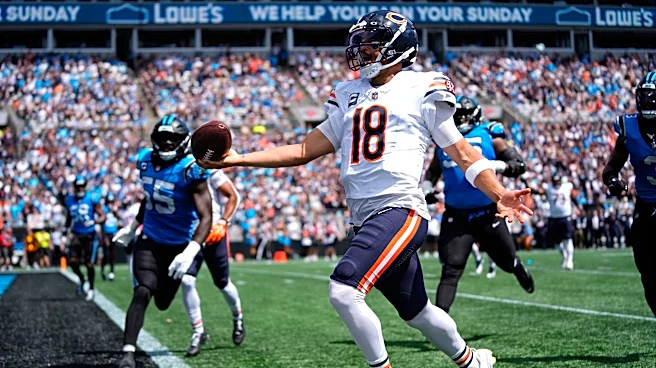 Bears score 59 points in opening win despite quiet days for a couple of Williams' top targets