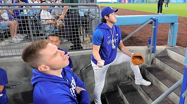 Freddie Freeman's knee, Shohei Ohtani's bat and the Dodgers' October calculus