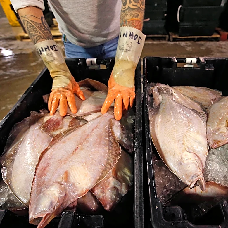 ‘Flat is Back’ campaign hopes to put flounder back on people’s plates