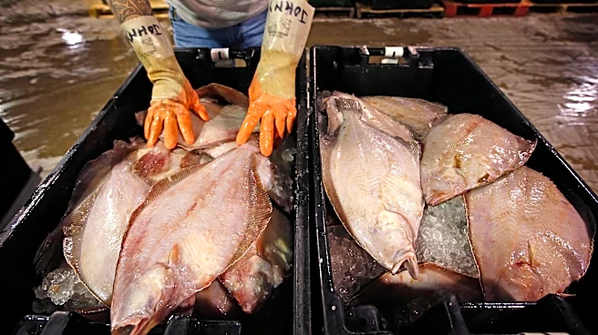 ‘Flat is Back’ campaign hopes to put flounder back on people’s plates