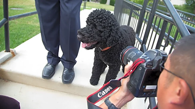 The Obamas' family dog Sunny dies, the former president says