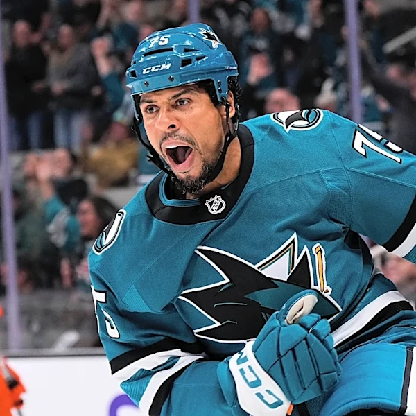 Enforcer Ryan Reaves says he is retiring, leaving the NHL with three visor-less players