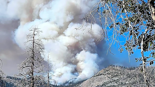 Firefighting helicopter crashes near Yosemite, killing both pilots