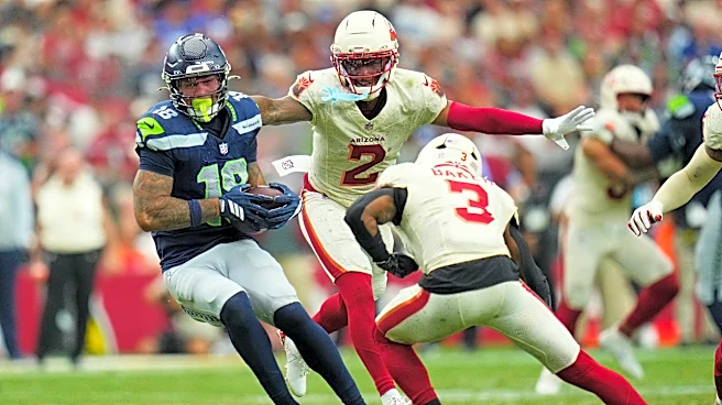 Cardinals' CB Will Johnson could be out for the season with a neck injury