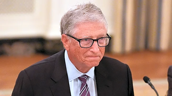 Bill Gates pushes for 'smart use' of AI as his foundation builds more representative language data