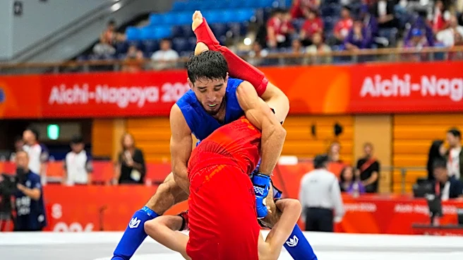 Mixed martial arts -- without the wire cage and the blood -- bids to make the Olympics