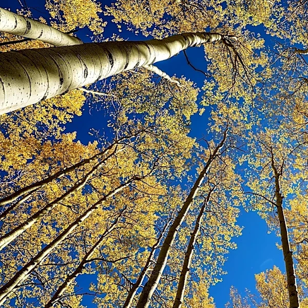 Day and night get equal billing on Tuesday. A guide to the fall equinox