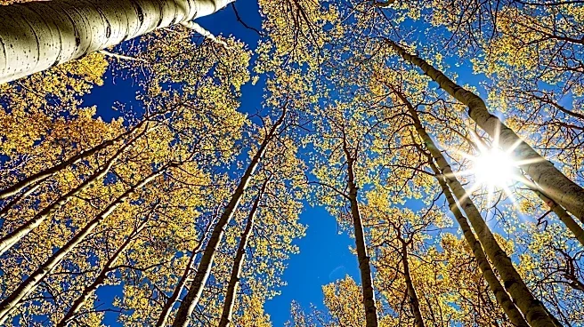Day and night get equal billing on Tuesday. A guide to the fall equinox