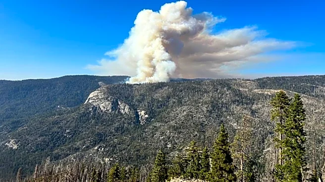 Aircraft company identifies 2nd pilot killed in Yosemite helicopter firefighting crash