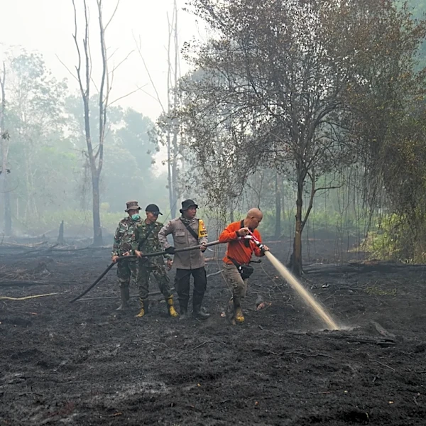 This year's El Nino-driven heat could cause nearly half a million more deaths, group says
