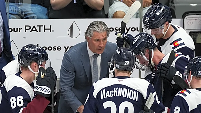 Challenge in NHL's Central Division is cracking top 3 of Colorado, Dallas, and Minnesota
