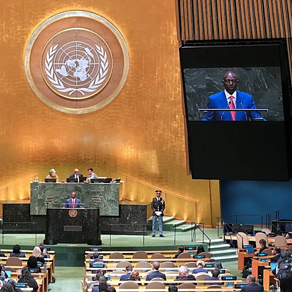 A (permanent) seat at the table of power: African leaders press UN for Security Council reform
