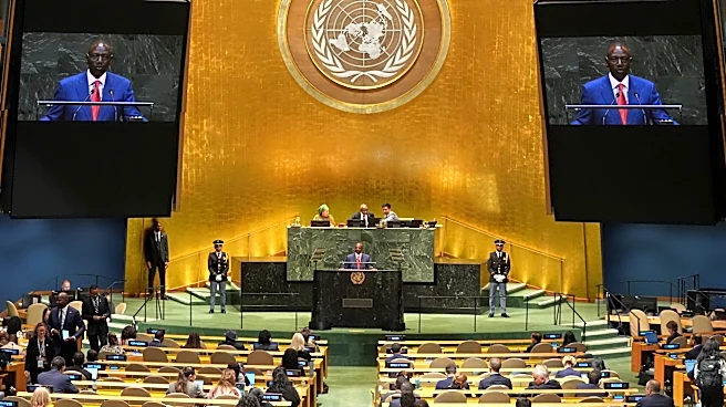 A (permanent) seat at the table of power: African leaders press UN for Security Council reform