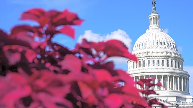 Senate to vote on resolution to halt the Iran war as gas prices upend midterms