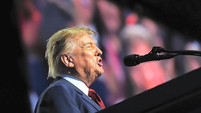 US government foots bill for television advertisement featuring Trump's midterm messaging