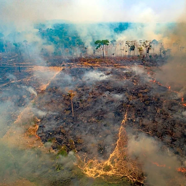 New firefighting fund launches but funding gap remains as wildfires worsen worldwide