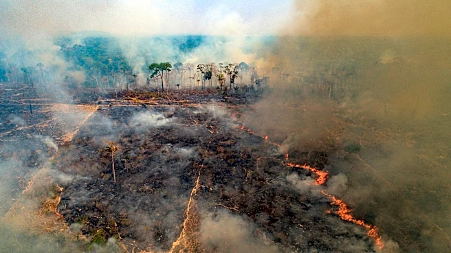 New firefighting fund launches but funding gap remains as wildfires worsen worldwide