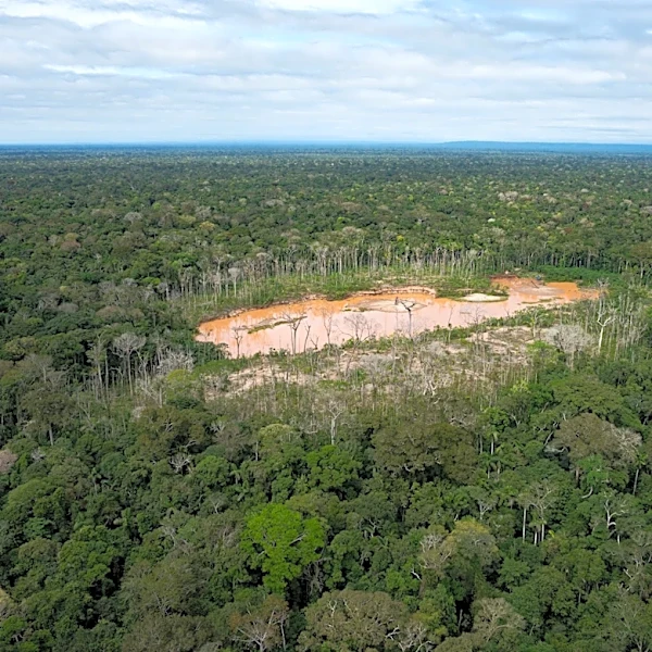Peru faces human rights court over protections for isolated Indigenous peoples in Amazon
