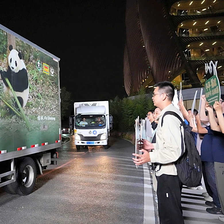 2 giant pandas set off to Atlanta zoo from China after Xi-Trump summit