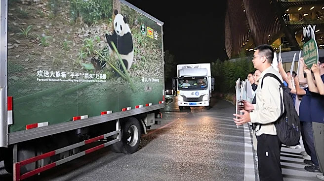 2 giant pandas arrive in Atlanta under a US-China government agreement
