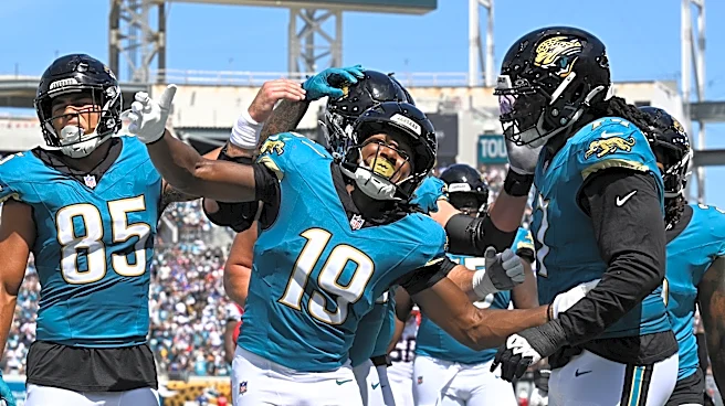 Rookie WR Josh Cameron might be the most versatile player on Jacksonville's roster