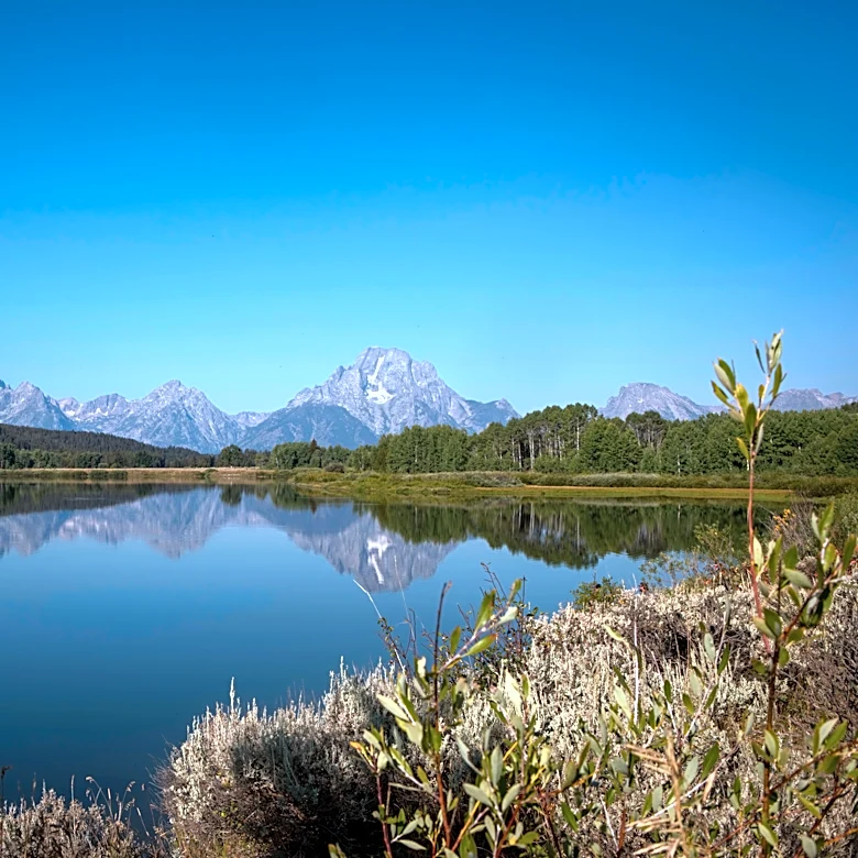 MLB considers Grand Teton National Park for baseball game site, prompting concern