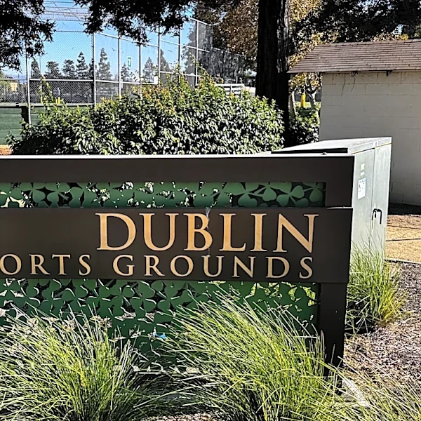 Police arrest a 77-year-old California couple in the shooting death of their son-in-law