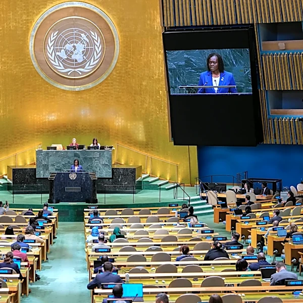 As the UN ponders its next secretary-general, many say it's well past time for a woman to lead