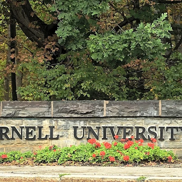 New York Gov. Hochul pushes for investigation into Cornell's handling of a 2024 gang rape allegation