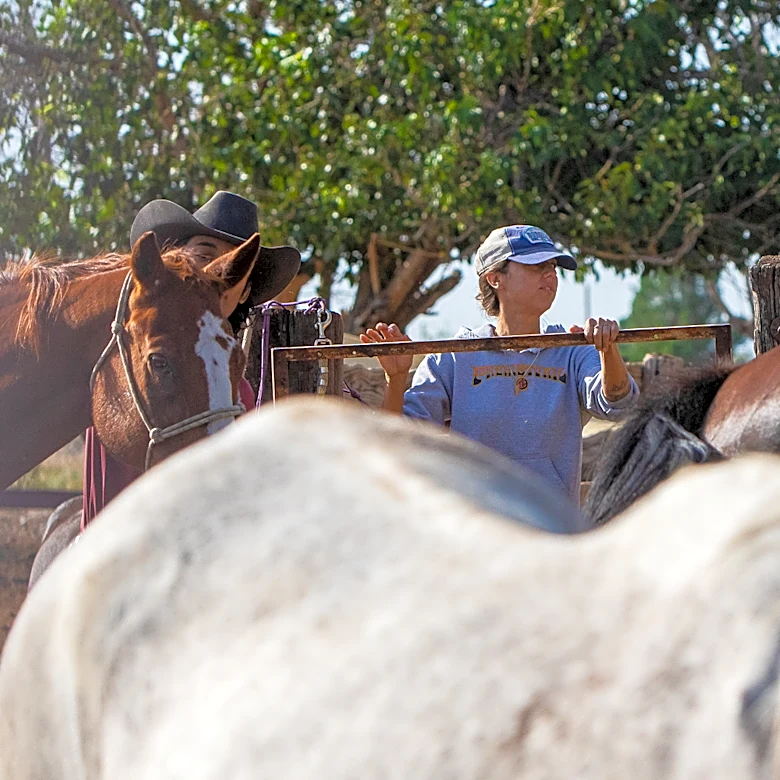 Retired and rescued: Old horses live out their final years at River Thunder Ranch