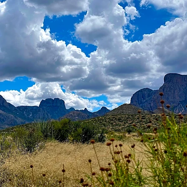 Trump administration considers scaling back border project in Texas' Big Bend National Park