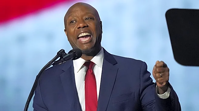 Senate GOP campaign chief says 'cash is king' as Trump team promises millions to keep majority