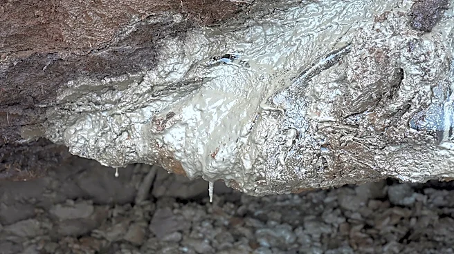 Heat-trapping gas once frozen in Arctic ground is slowly leaking and warming the planet