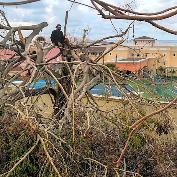 Jamaica struggles to recover a year after Hurricane Melissa hit as peak tourism season looms