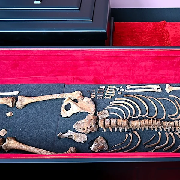 Remains of medieval king Czar Samuel arrive in Bulgaria after decades of talks with Greece
