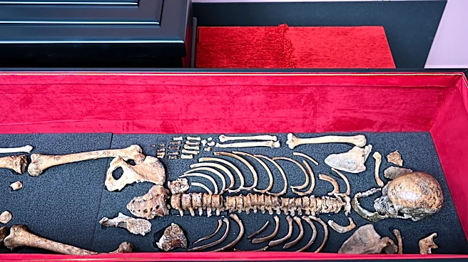 Remains of medieval king Czar Samuel arrive in Bulgaria after decades of talks with Greece