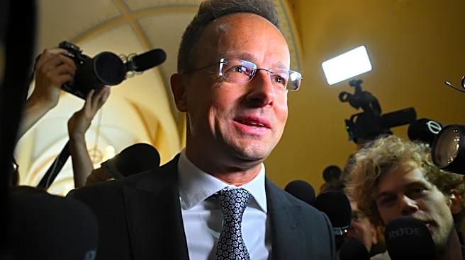 Hungary’s former foreign minister grilled over ties to China's BYD automaker while in office