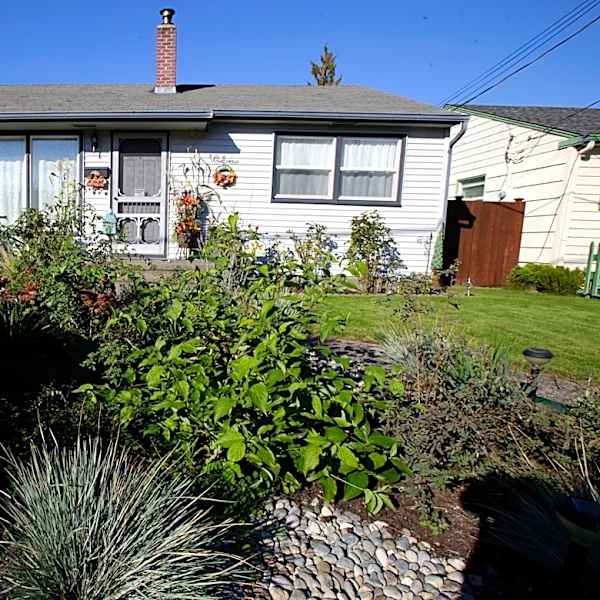 Rain gardens help handle today's downpours. And they can be beautiful too
