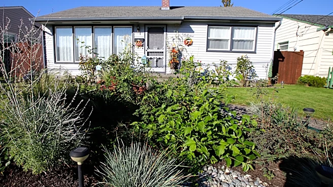 Rain gardens help handle today's downpours. And they can be beautiful too
