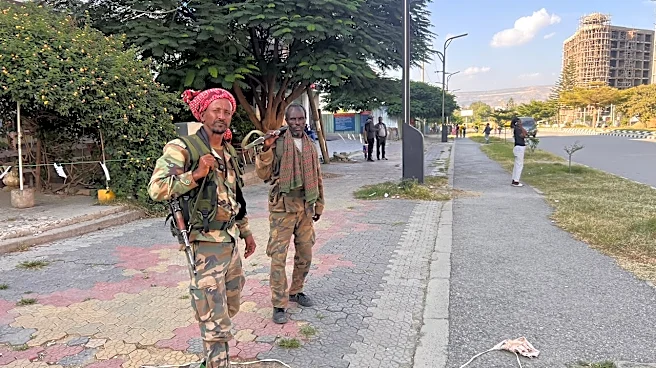 Ethiopian commander reports drone strikes in Tigray as markets reopen in regional capital