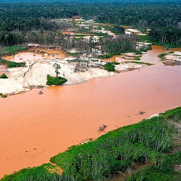 Interpol crackdown on illegal mining, logging and wildlife trafficking leads to 233 arrests