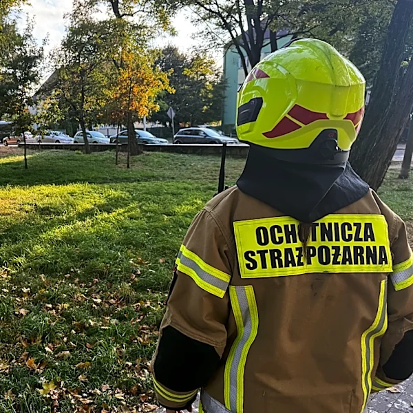 19-year-old student in Poland injures 9 people in a school attack