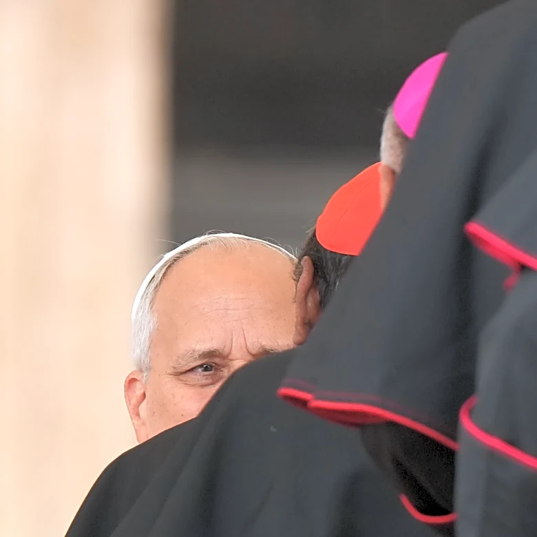 Pope Leo XIV opens status check on Pope Francis' contentious opening to civilly remarried Catholics