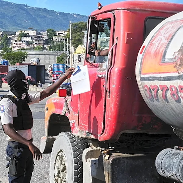 Report offers new insight into Haitian gangs as general election looms